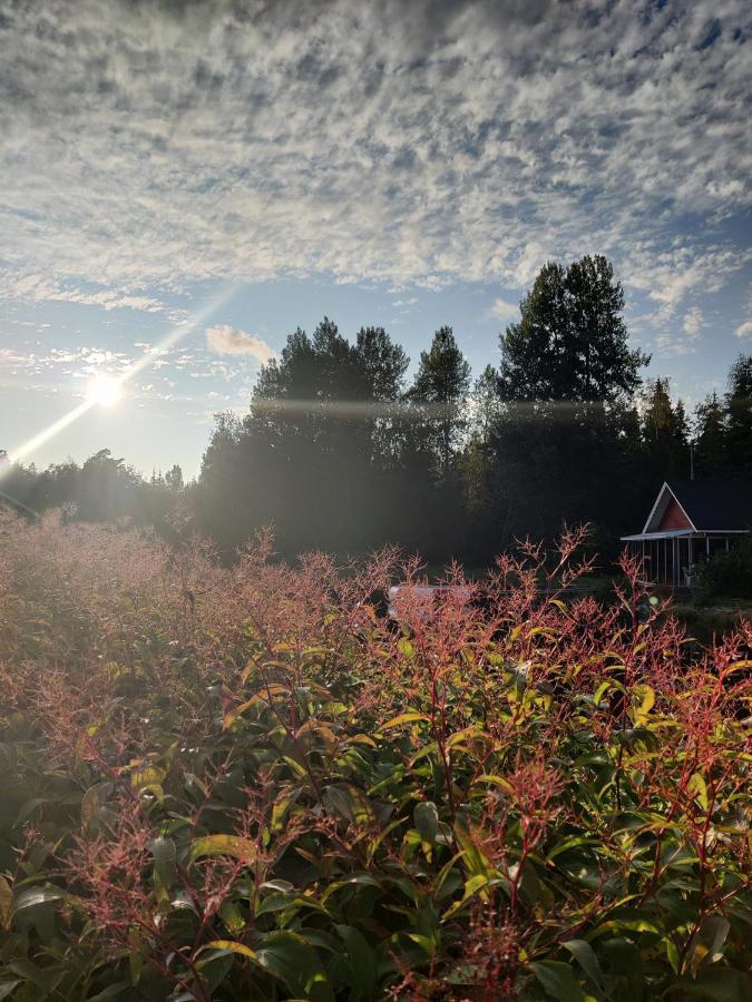 Hannunluhdan Lomamoekit Karijoki Esterno foto